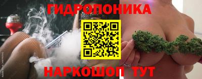 дмт Можга