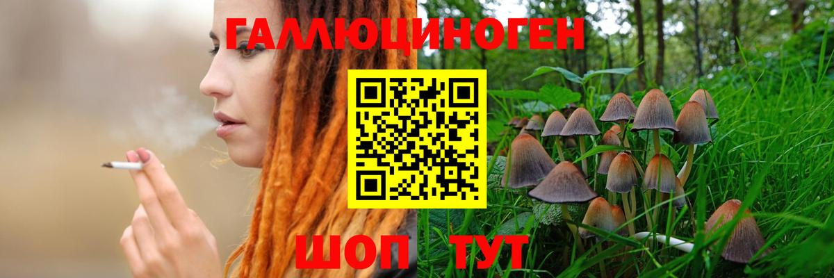 Псилоцибиновые грибы ЛСД  Вход с VPN  Псилоцибиновые грибы Cubensis  где купить   Хабаровск 